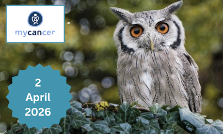 Medication-Related Osteonecrosis of the Jaw in Cancer Therapy